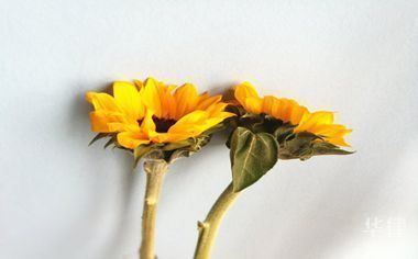 原设计单位责任范围(原设计单位在建筑设计任务中承担着重要的责任) 钢结构玻璃栈道施工 第1张 原设计单位责任范围(原设计单位在建筑设计任务中承担着重要的责任) 钢结构玻璃栈道施工 第1张