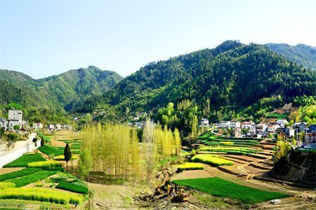 屋面瓦如何铺装（屋面瓦的铺装方法及其详细步骤） 结构电力行业施工 第5张