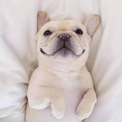 屋面加层怎么好打理（屋面排水系统安装注意事项）