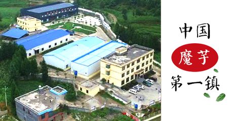 坤达生态农业有限公司地址(坤达生态农业旅游项目介绍坤达生态农业旅游项目介绍) 钢结构钢结构停车场施工 第3张 坤达生态农业有限公司地址(坤达生态农业旅游项目介绍坤达生态农业旅游项目介绍) 钢结构钢结构停车场施工 第3张