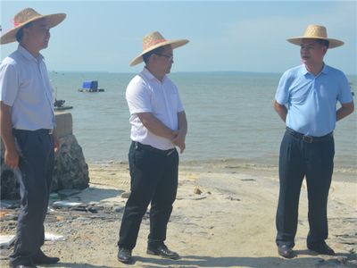 包钢加固后的维护保养要点（包钢加固后如何检测空鼓率） 结构框架设计 第3张