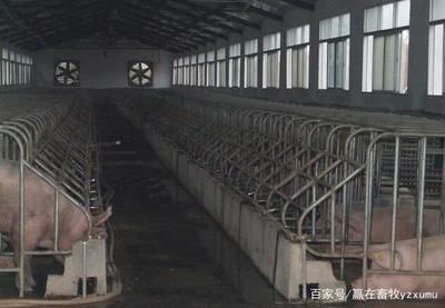 改造加固设计需要看整体指标吗(改造加固设计中的抗震设计要点) 钢结构蹦极施工 第2张 改造加固设计需要看整体指标吗(改造加固设计中的抗震设计要点) 钢结构蹦极施工 第2张