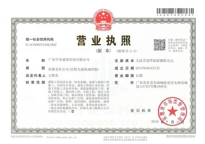房屋加固方案甲级设计院可以做吗（甲级设计院具备进行房屋加固设计的资质） 钢结构蹦极设计 第4张