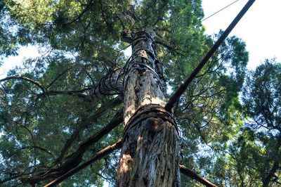 室内碳纤维加固影响健康吗（室内碳纤维加固后的维护方法） 钢结构门式钢架施工 第5张