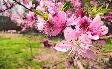 砖混的房子赔偿标准是什么(农村砖混结构房屋赔偿标准) 装饰幕墙设计 第2张 砖混的房子赔偿标准是什么(农村砖混结构房屋赔偿标准) 装饰幕墙设计 第2张