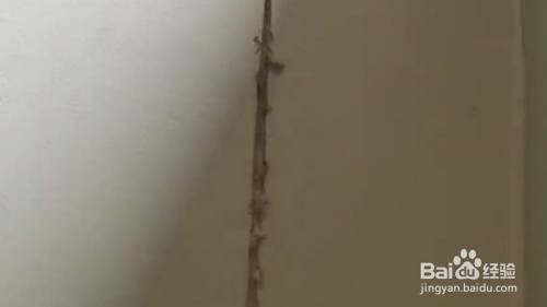 砖混结构墙面出现裂纹（砖混结构墙面出现裂纹的原因）