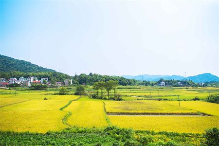 房屋改造赔偿标准是多少（临沂地区房屋改造案例分析） 结构桥梁钢结构设计 第5张
