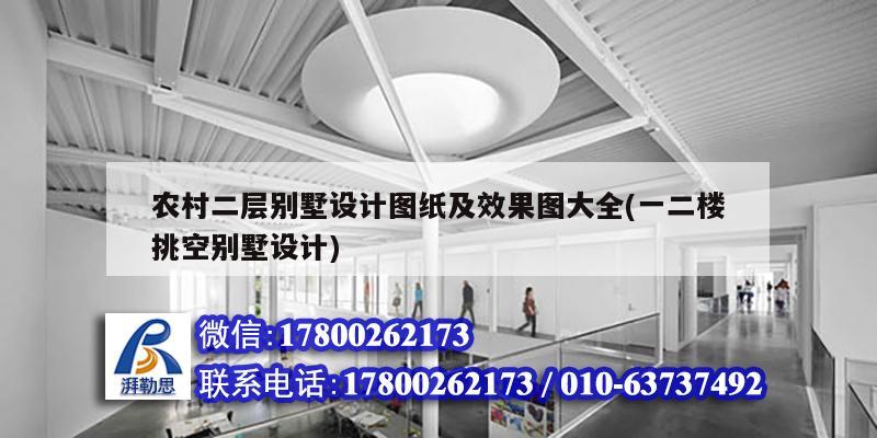 农村二层别墅设计图纸及效果图大全(一二楼挑空别墅设计) 钢结构蹦极施工