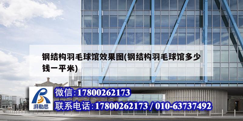 钢结构羽毛球馆效果图(钢结构羽毛球馆多少钱一平米) 装饰家装施工