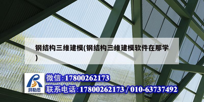 钢结构三维建模(钢结构三维建模软件在那学) 结构工业装备设计