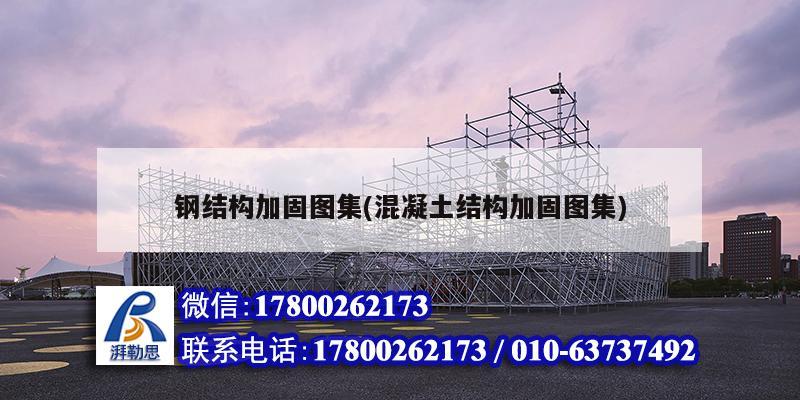 钢结构加固图集(混凝土结构加固图集) 装饰工装设计