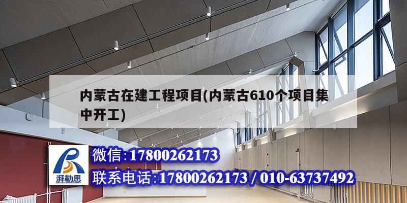 内蒙古在建工程项目(内蒙古610个项目集中开工)