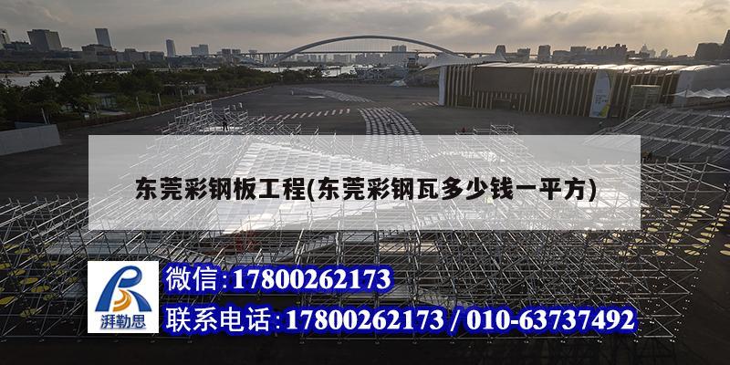 东莞彩钢板工程(东莞彩钢瓦多少钱一平方) 钢结构蹦极施工