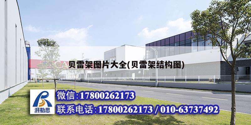 贝雷架图片大全(贝雷架结构图) 建筑施工图施工
