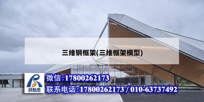 三维钢框架(三维框架模型) 装饰家装施工